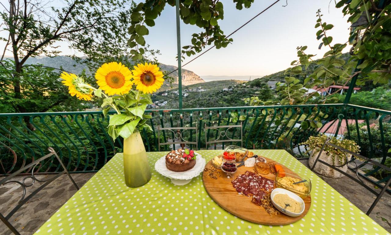 Villa Blanka Žrnovnica Екстериор снимка